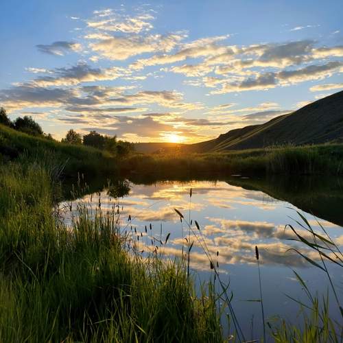 Photo #13722581