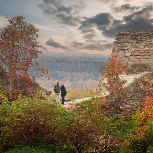 Photo #13722622
