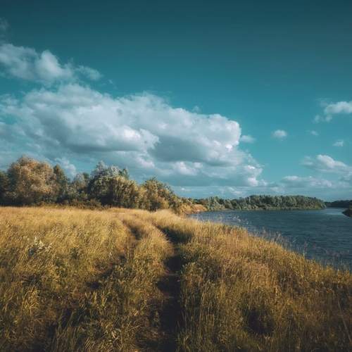 Photo #13722652