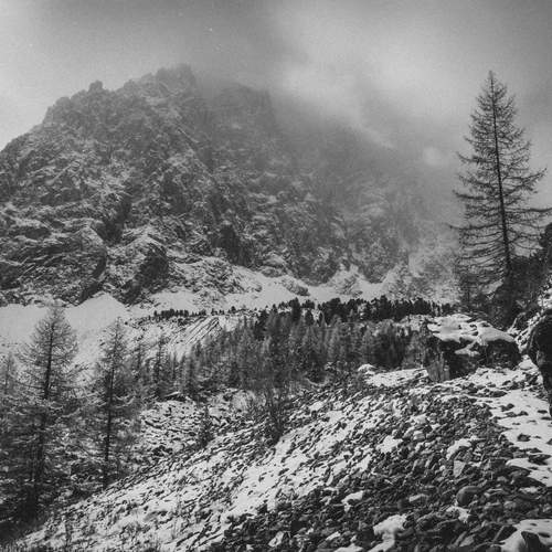 Photo #13722678