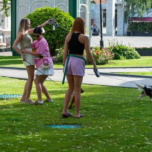 Photo #13722709