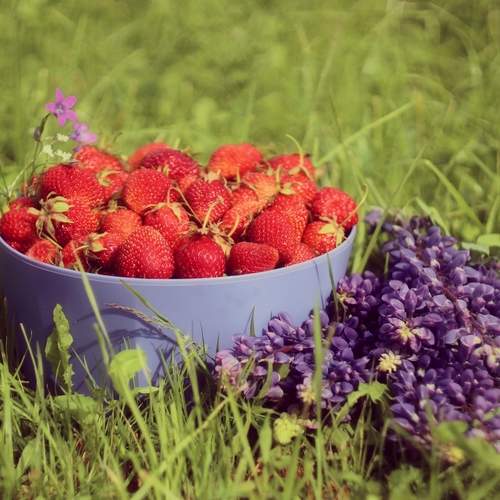 Photo #13722740