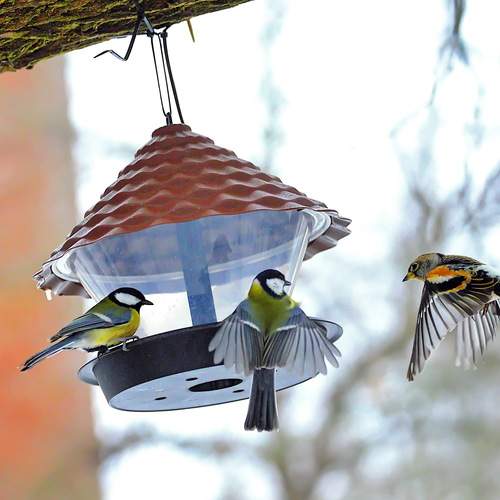 Photo #13722744