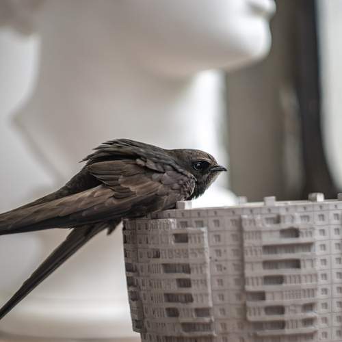 Photo #13722753