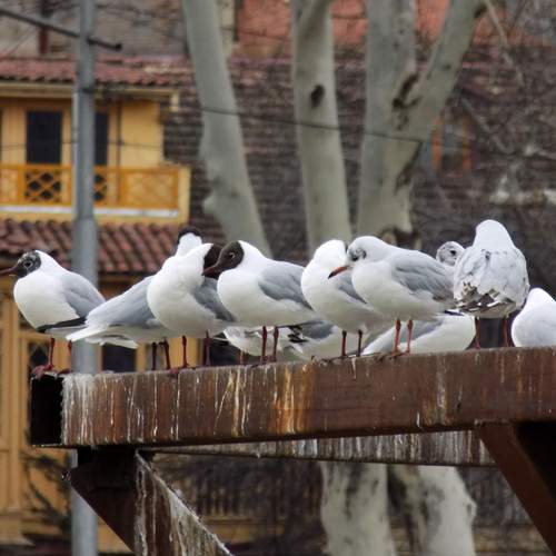 Photo #13722764