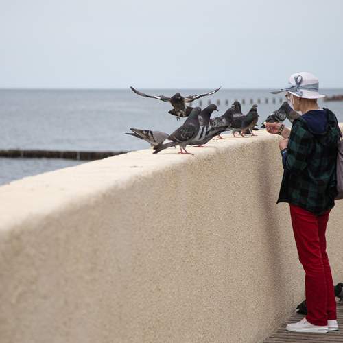 Photo #13722784