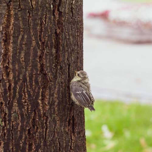 Photo #13722786