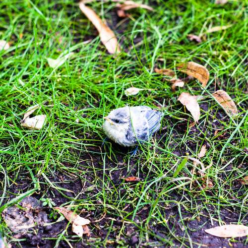 Photo #13722787