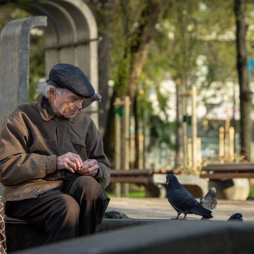 Photo #13722789