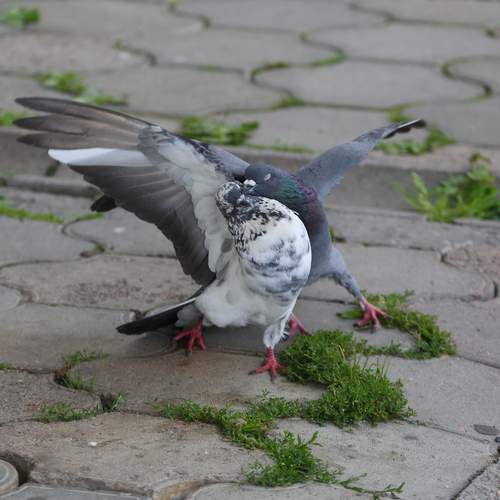 Photo #13722846