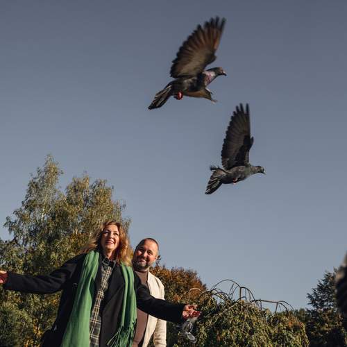 Photo #13722868