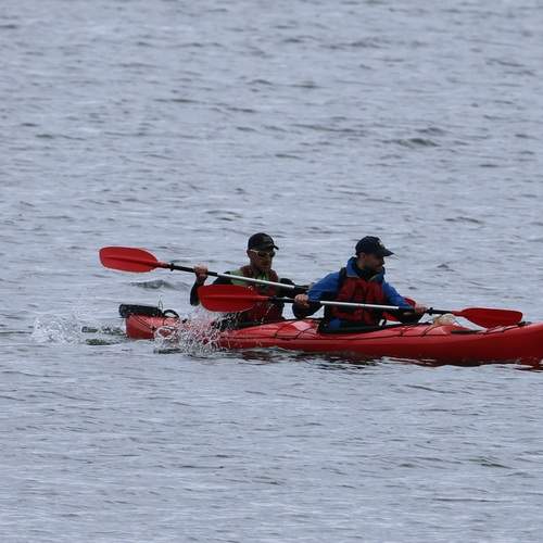 Photo #13722914