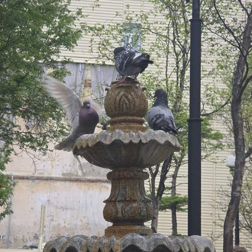Photo #13722917