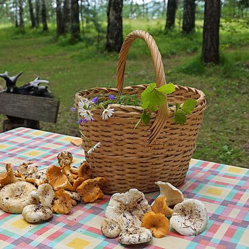 Photo #13722919