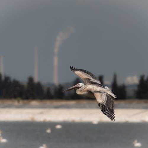 Photo #13722955