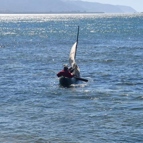 Photo #13722983