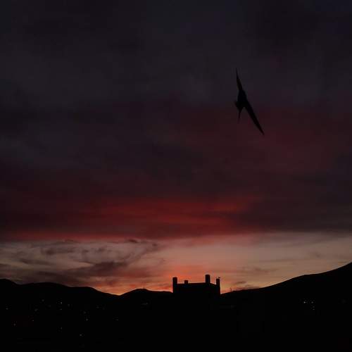 Photo #13722987