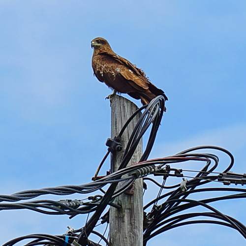 Photo #13723051