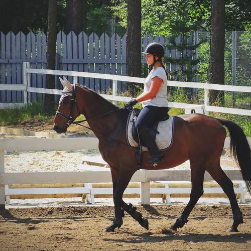 Photo #13723089
