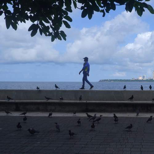 Photo #13723155