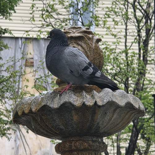 Photo #13723198