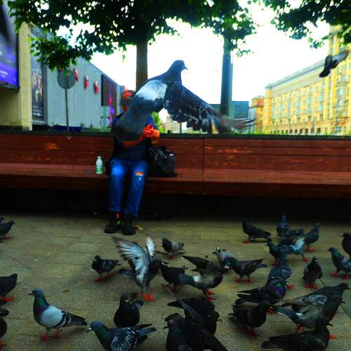 Photo #13723215