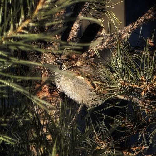 Photo #13723242