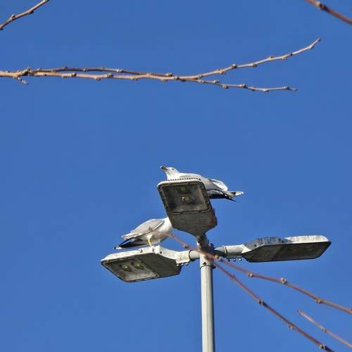 Photo #13723243