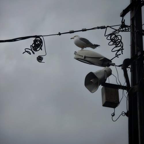 Photo #13723244