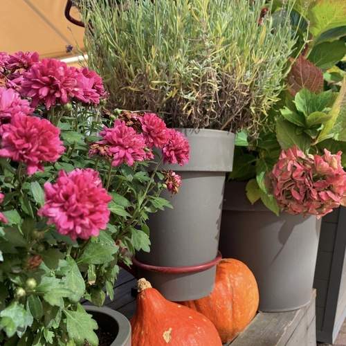 Photo #13723262