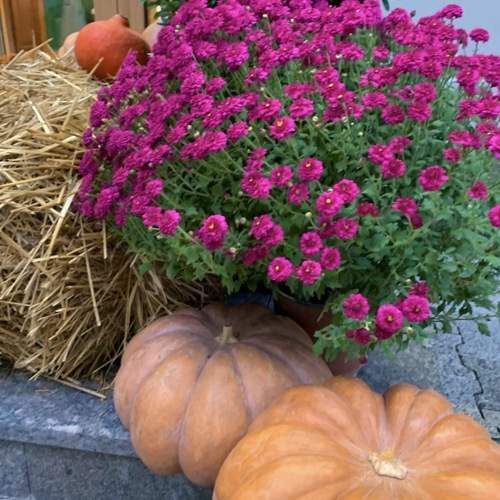 Photo #13723302