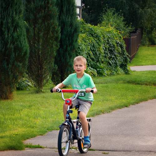 Photo #13723349
