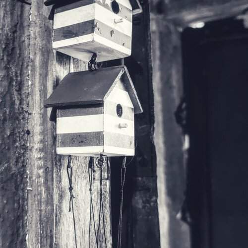 Echoes of Suspended Time, Whispers of Americana