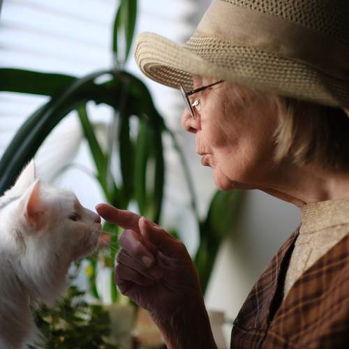 Photo #13723517