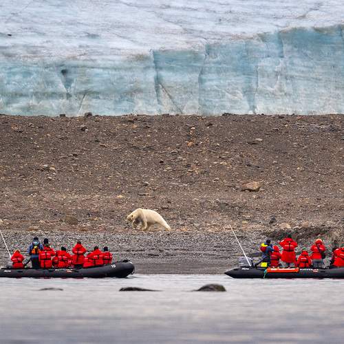 Photo #13723535