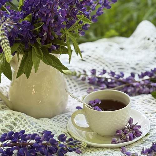 Photo #13723553