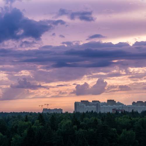 Photo #13723624