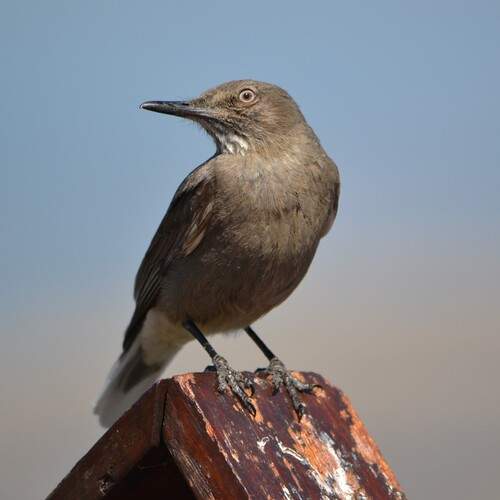 Photo #13723676