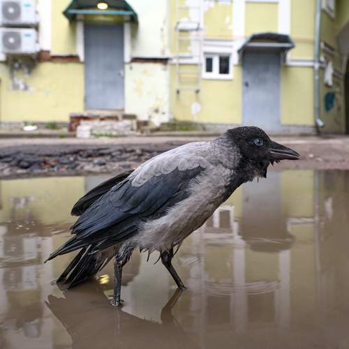Photo #13723749