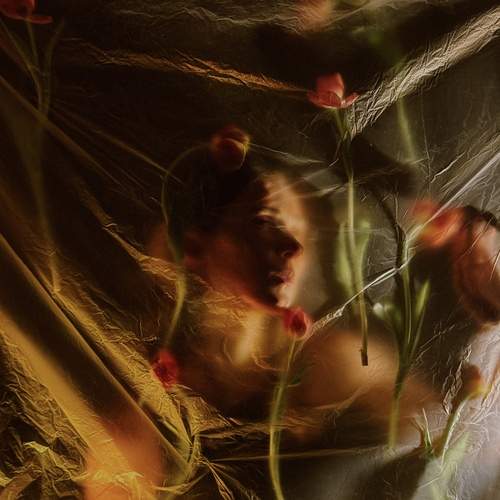 Photo #13723787