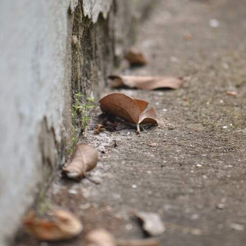 Photo #13723799