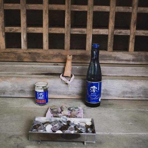 Photo #13723826