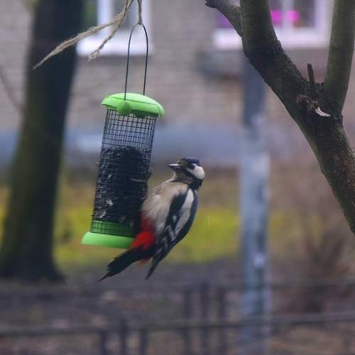 Photo #13723876