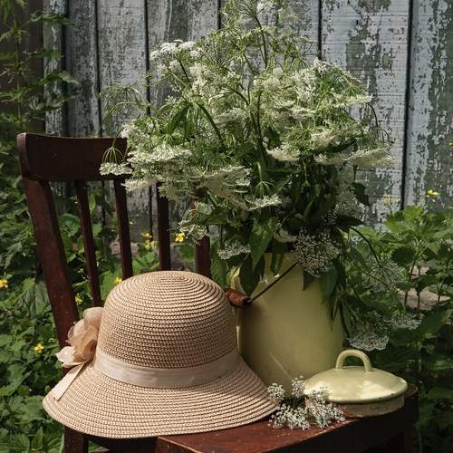 Photo #13723886