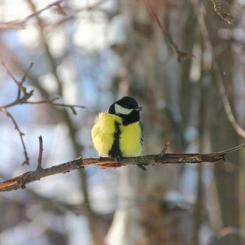 Photo #13723903