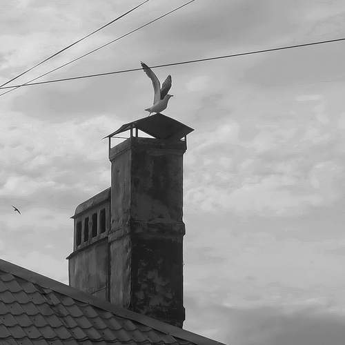 Photo #13724002