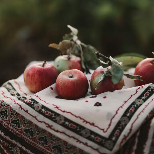 Photo #13724003