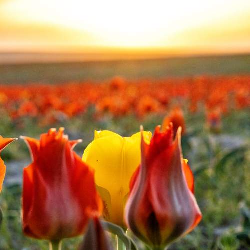 Photo #13724128