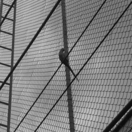 Photo #13724158