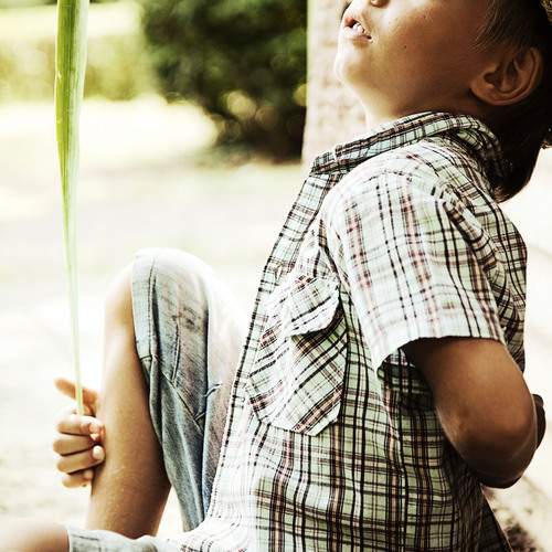 Photo #13724183